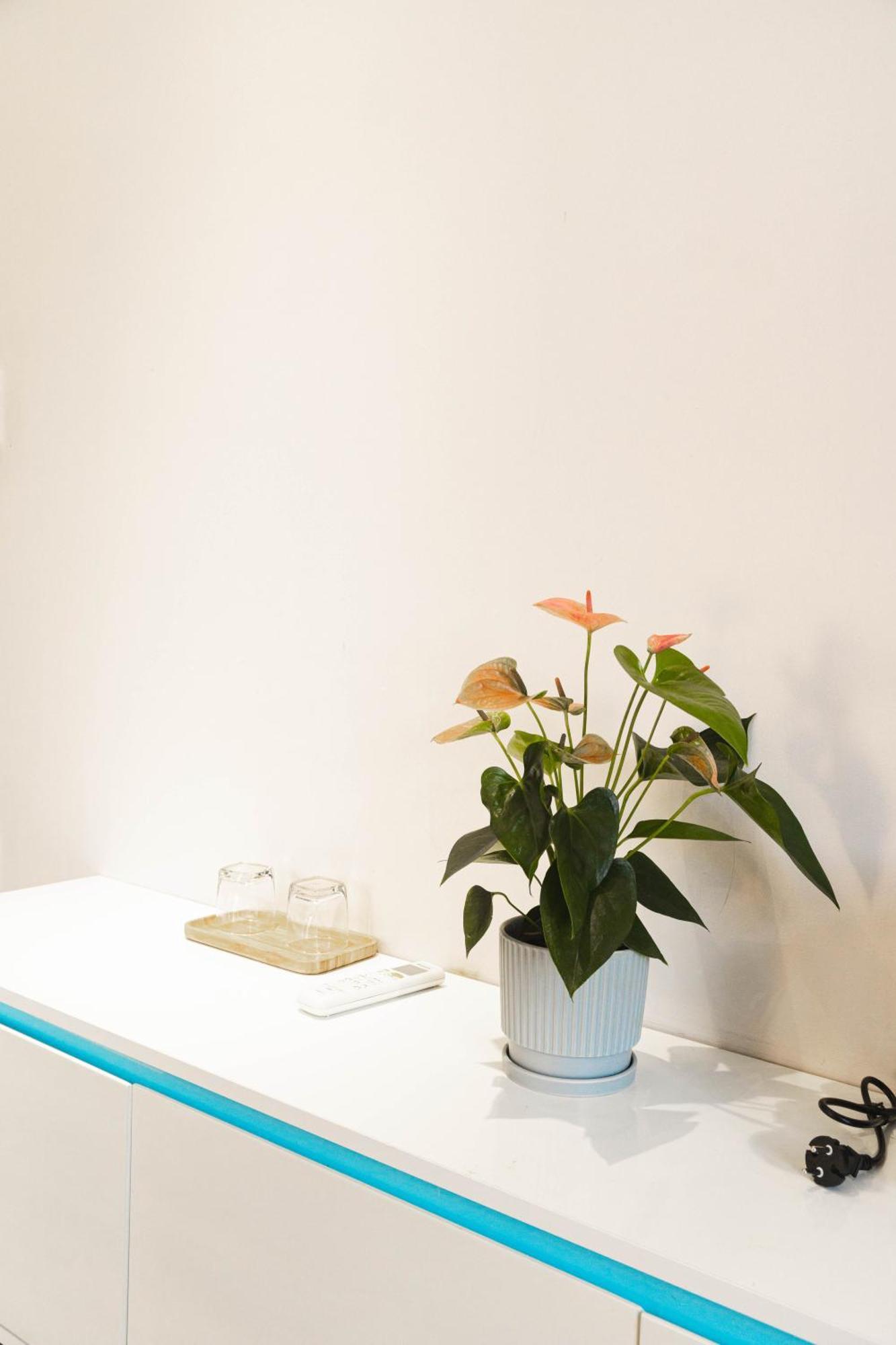 Shalom House _ Bao Loc Hotel Eksteriør billede